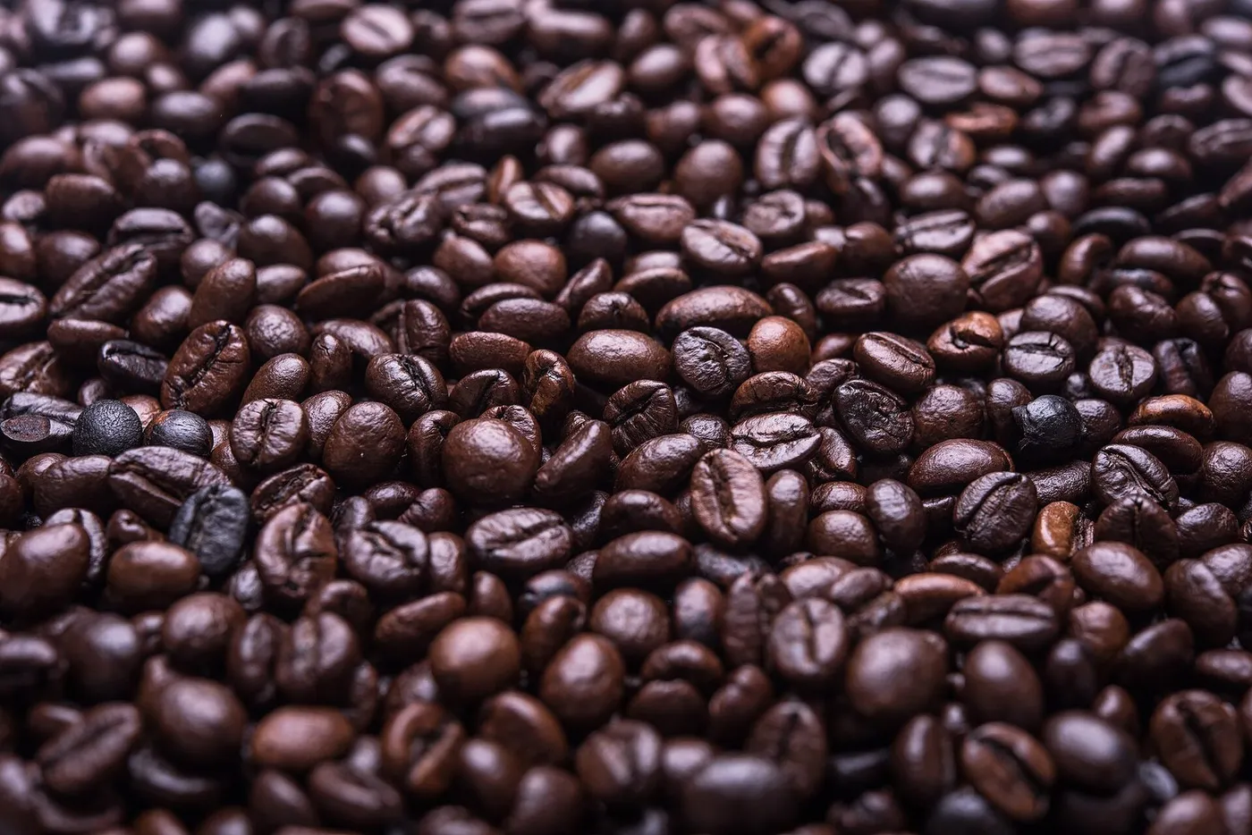 A close-up field of dark roasted coffee beans
