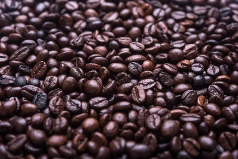 A close-up field of dark roasted coffee beans