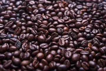 A close-up field of dark roasted coffee beans