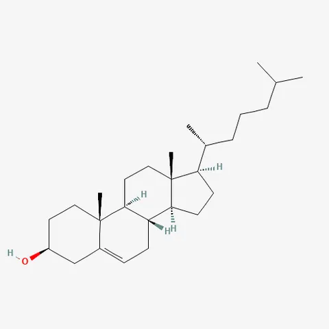 Cholesterol molecule