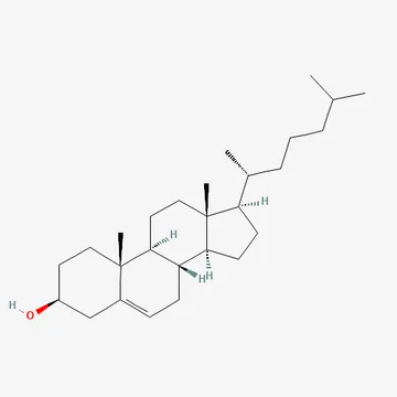 Cholesterol molecule